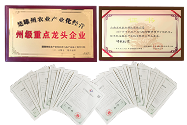 1729665665997651.png 狗万1.png